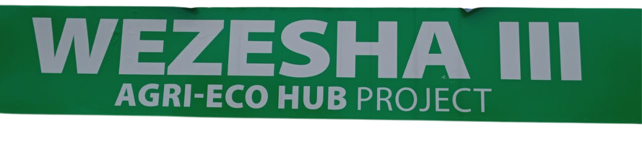 Wezesha 3 Agri-Eco Hub Project